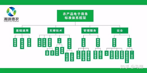 構(gòu)建智能引領(lǐng)的農(nóng)產(chǎn)品電商標(biāo)準(zhǔn)體系 標(biāo)準(zhǔn)化、系統(tǒng)化與工程化路徑